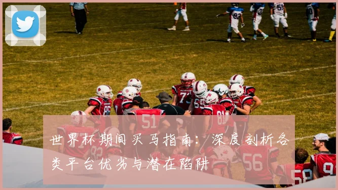 世界杯期间买马指南：深度剖析各类平台优劣与潜在陷阱