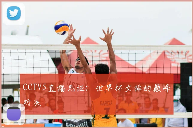 CCTV5直播见证：世界杯女排的巅峰对决