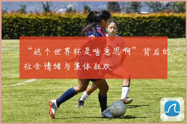 “这个世界杯是啥意思啊”背后的社会情绪与集体狂欢