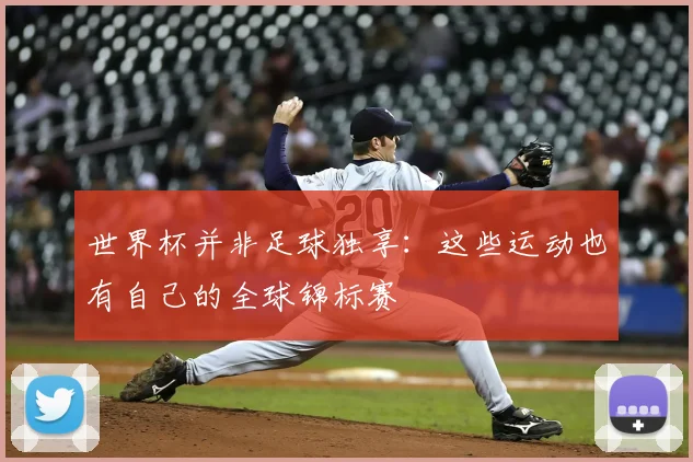 世界杯并非足球独享：这些运动也有自己的全球锦标赛