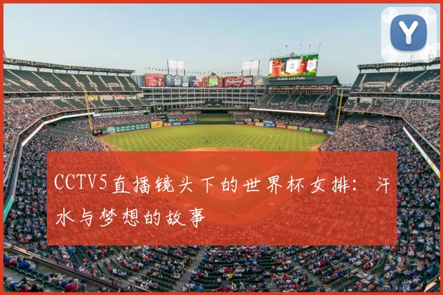 CCTV5直播镜头下的世界杯女排：汗水与梦想的故事