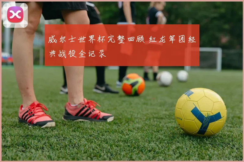 威尔士世界杯完整回顾 红龙军团经典战役全记录