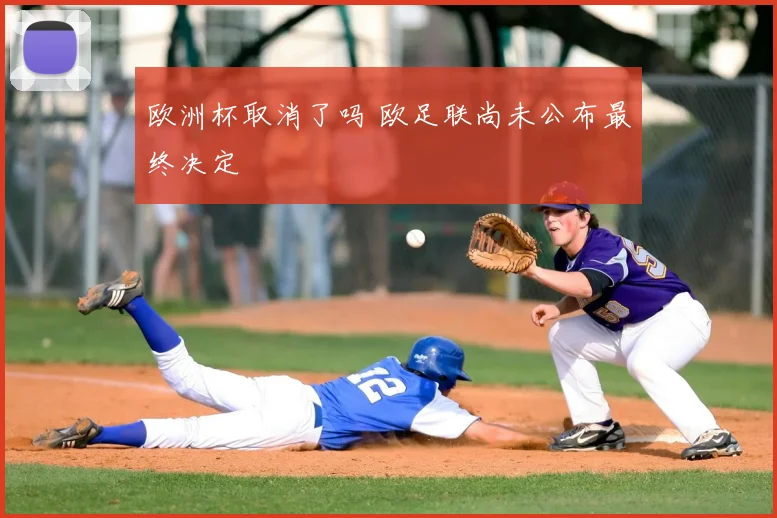 欧洲杯取消了吗 欧足联尚未公布最终决定