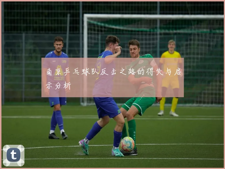 南京乒乓球队反击之路的得失与启示分析