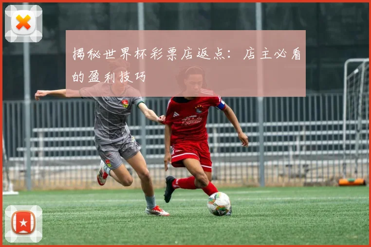 揭秘世界杯彩票店返点：店主必看的盈利技巧