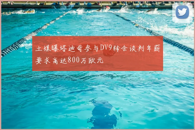 土媒曝塔迪奇参与DV9转会谈判年薪要求高达800万欧元