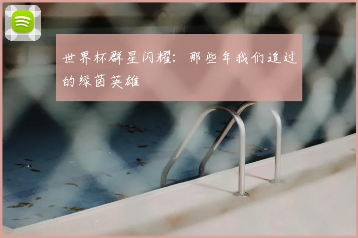 世界杯群星闪耀：那些年我们追过的绿茵英雄