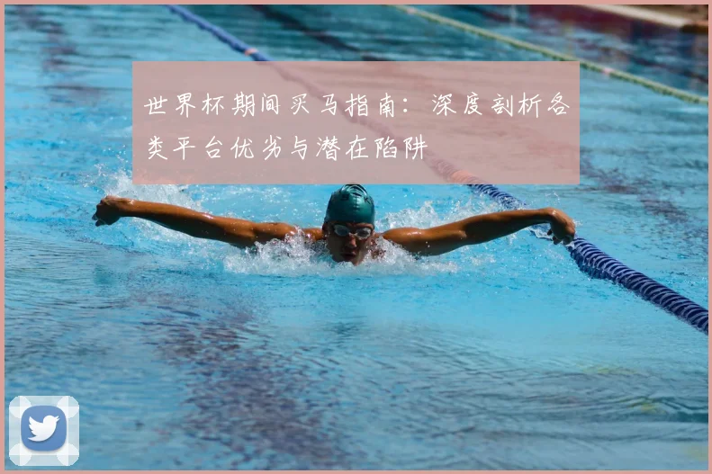 世界杯期间买马指南：深度剖析各类平台优劣与潜在陷阱