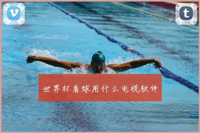 世界杯看球用什么电视软件