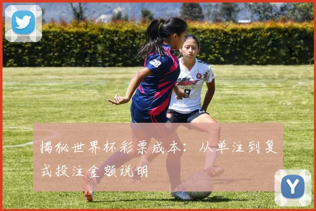 揭秘世界杯彩票成本：从单注到复式投注金额说明