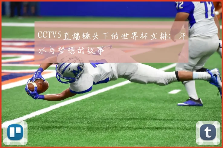CCTV5直播镜头下的世界杯女排：汗水与梦想的故事