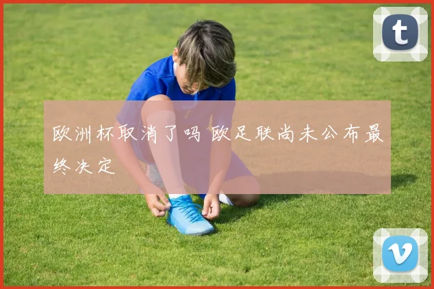 欧洲杯取消了吗 欧足联尚未公布最终决定
