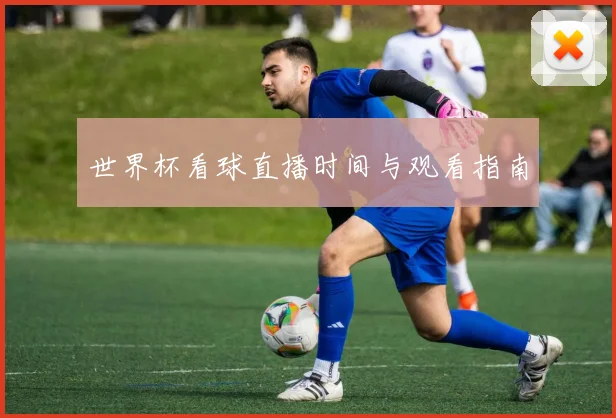 世界杯看球直播时间与观看指南