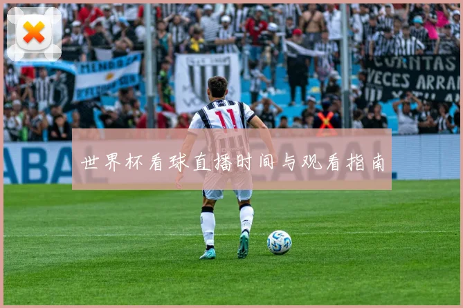 世界杯看球直播时间与观看指南