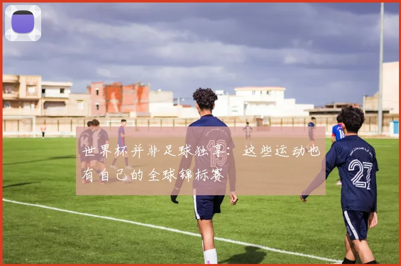 世界杯并非足球独享：这些运动也有自己的全球锦标赛